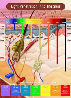 Light Penetration into the Skin