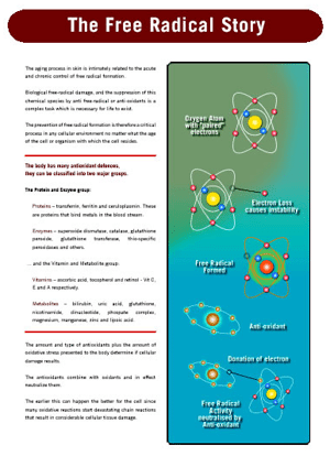 The Free Radical Story