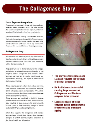 The Collagenase Story