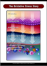 The Oxidative Stress Story