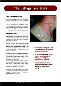 The Collagenase Story