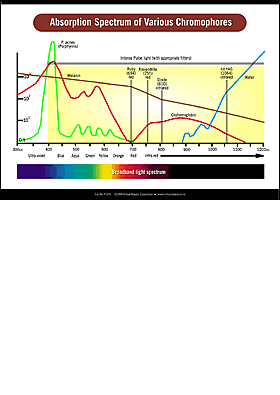 Light Absorption Spectrum