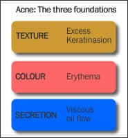 The foundations of acne