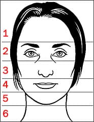 zones of the face